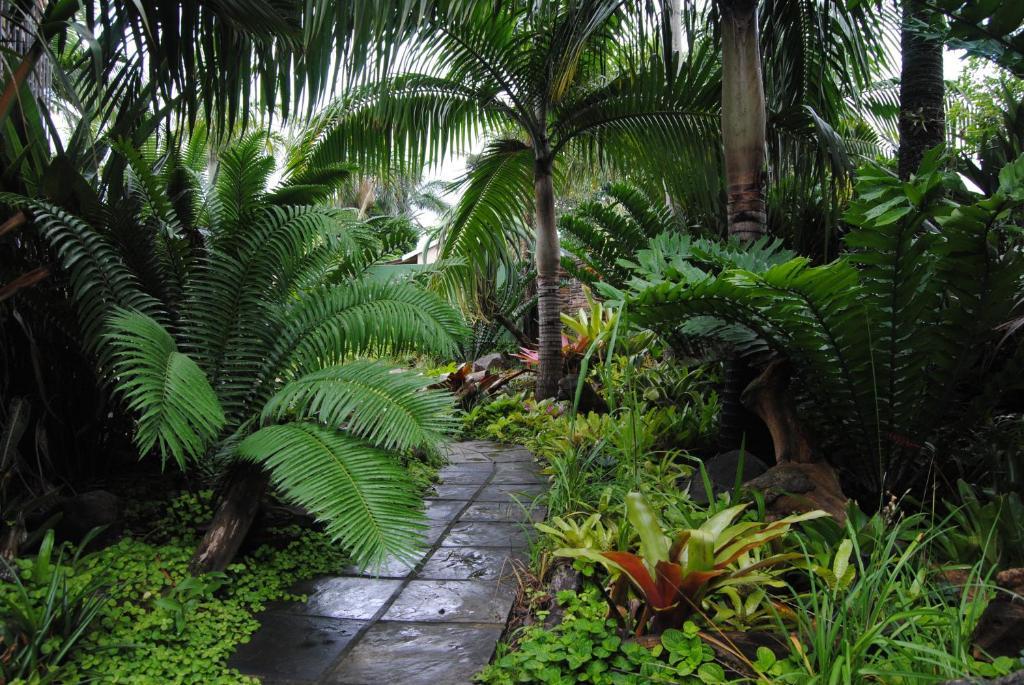Buya Futhi Bed & Breakfast Saint Lucia Estuary Εξωτερικό φωτογραφία