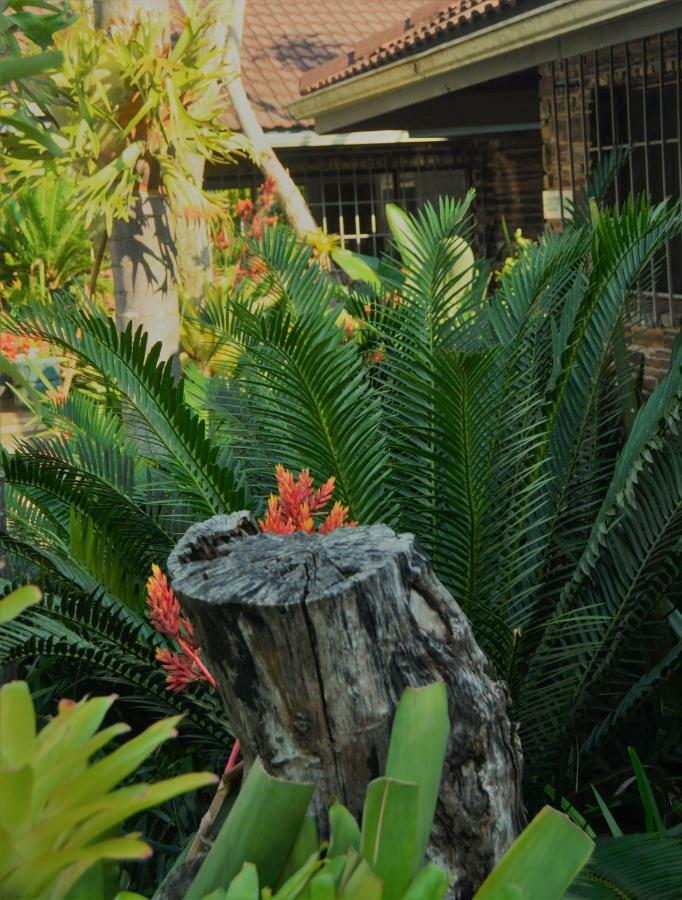 Buya Futhi Bed & Breakfast Saint Lucia Estuary Εξωτερικό φωτογραφία